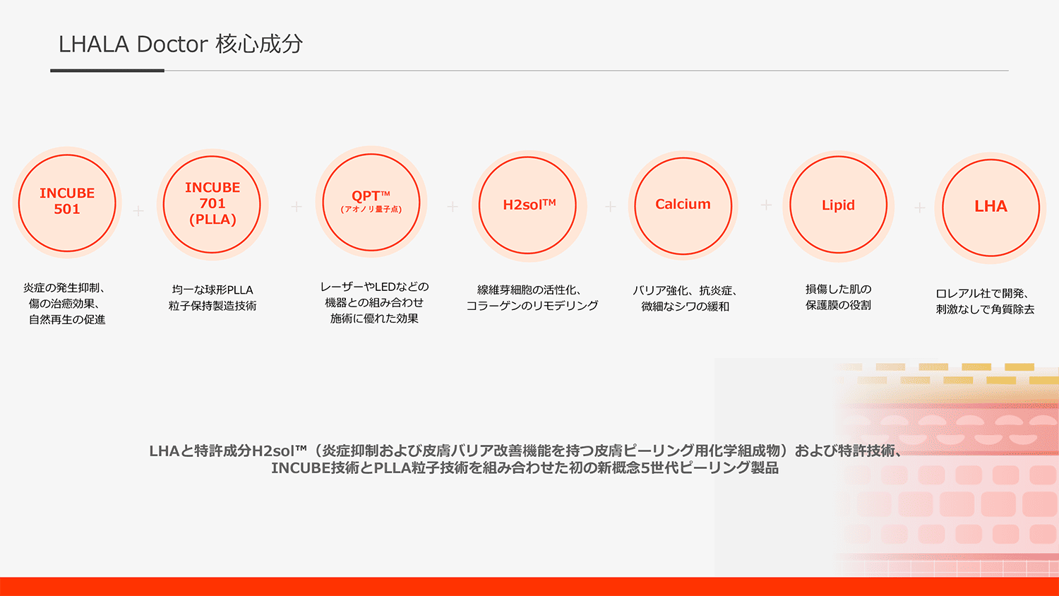 LHALA Doctor核心部分